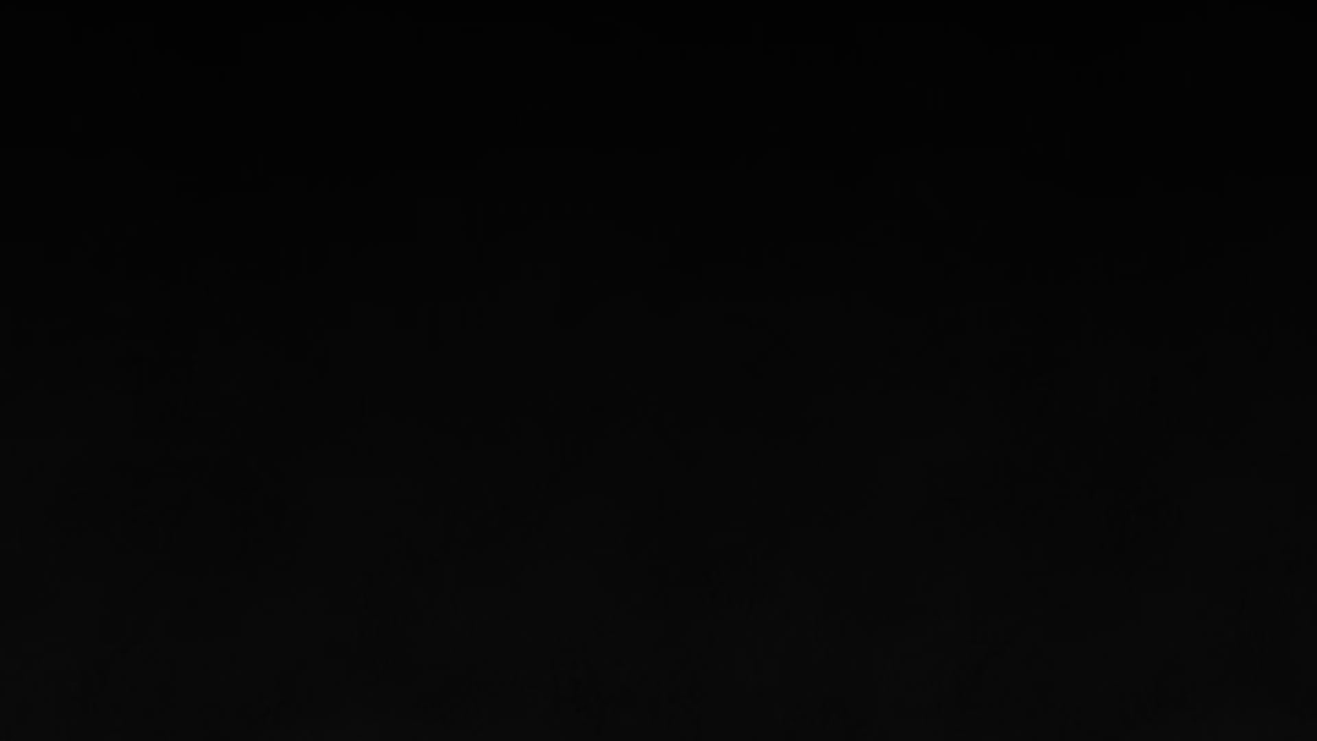 10-10x-RIFE-RIFE4.6-239.76fps.mp4